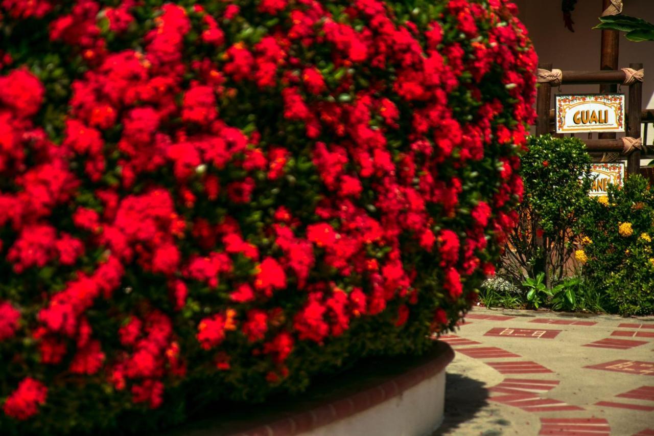 Hosteria Tonusco Campestre Santa Fe de Antioquia Buitenkant foto